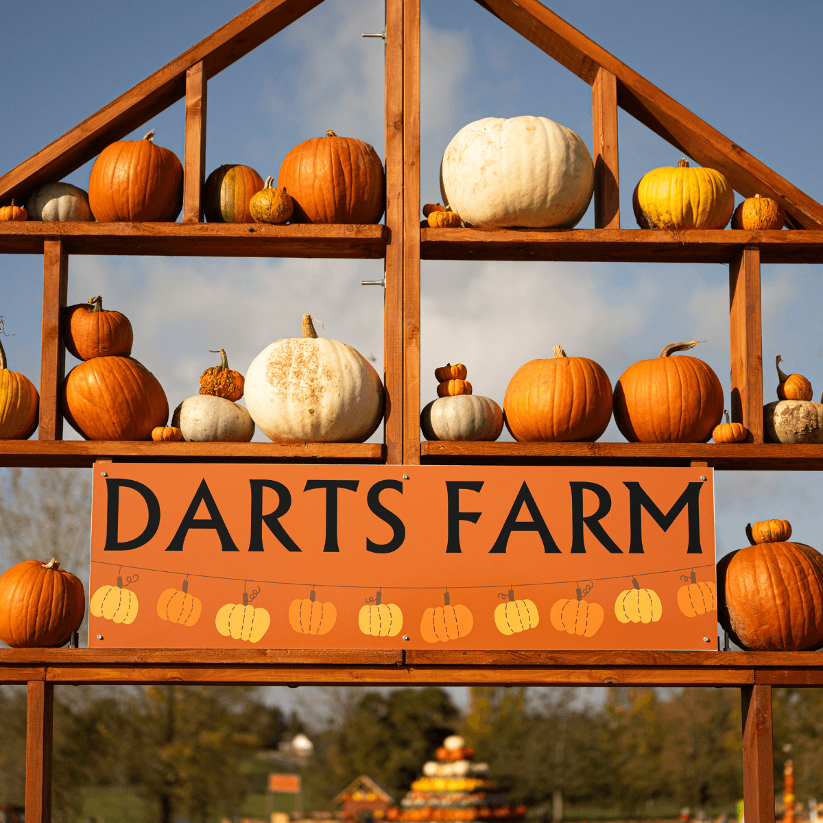 site logo
