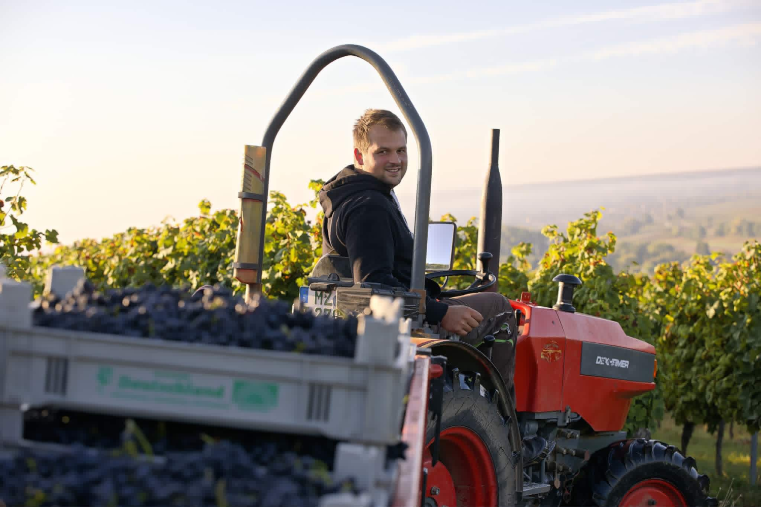 WINZER-GESCHICHTEN 30.10.26 : Weingut Baum-Barth
