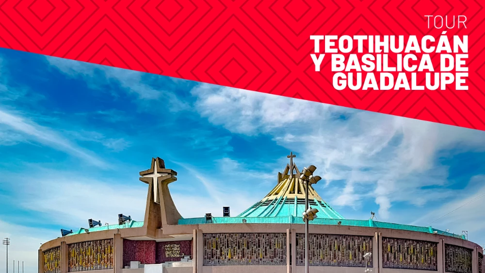 site logo