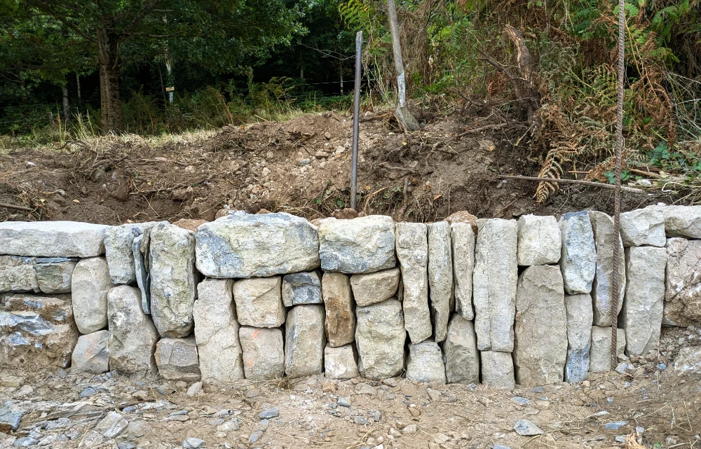 site logo