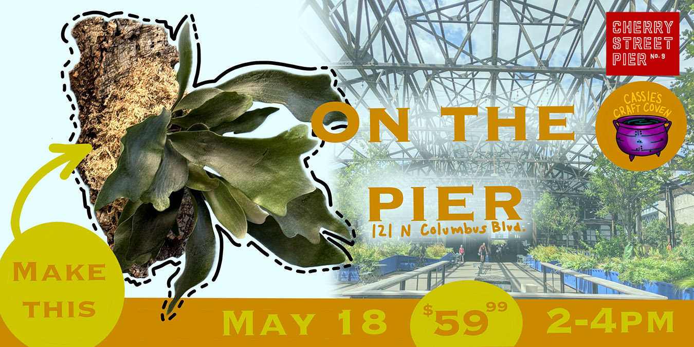 site logo