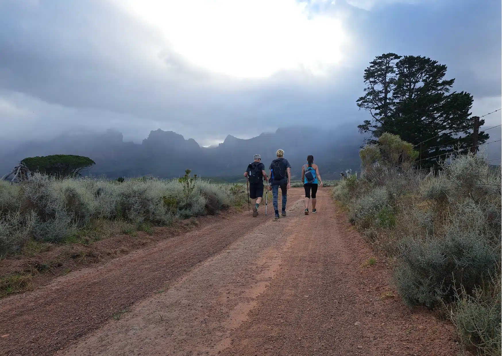 The Vergelegen Trail Experience – Saturday, 17 October